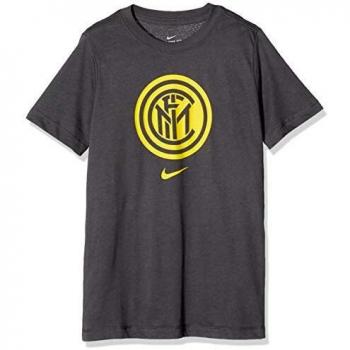 Desconocido Nike Inter B Nk tee Evergreen Crest Camiseta, Niños, Dark Grey/Tour Yellow, XL