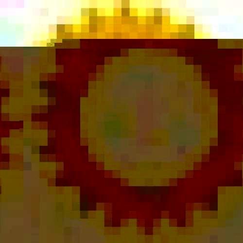 6