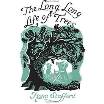 The Long, Long Life of Trees