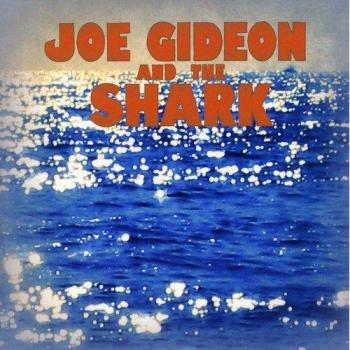 You Don T Look at a Tidal Wave [Vinilo]