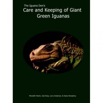 Giant Green Iguana Care Guide by Meredith Martin