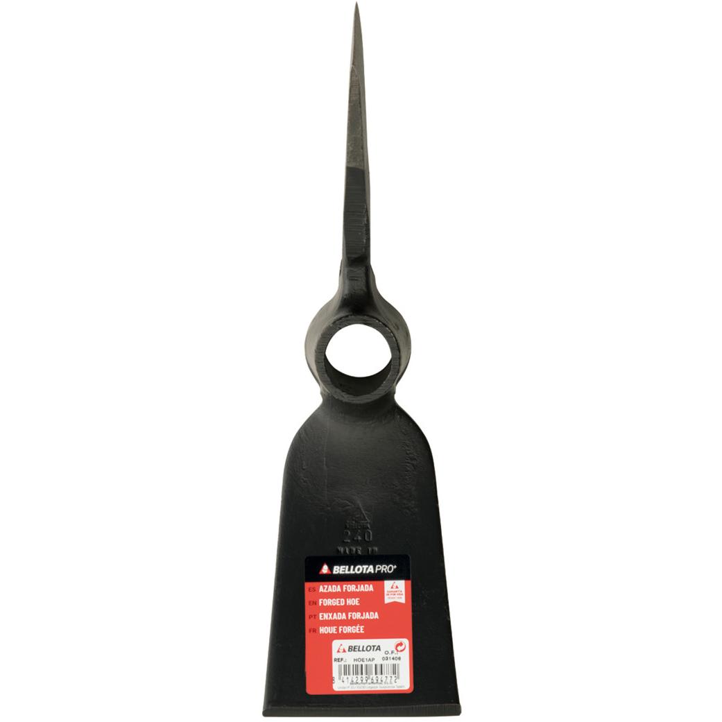 Imagen Principal