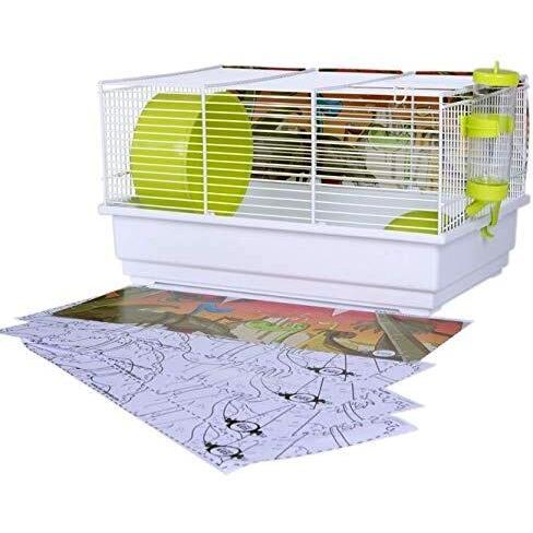 Imagen Principal