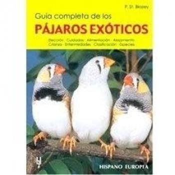Guía completa de los pájaros exóticos