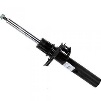 SACHS 317575
