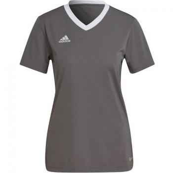 Camiseta adidas manga corta Entrada 22 gris