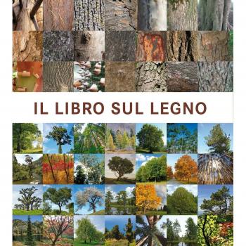 IL LIBRO SUL LEGNO