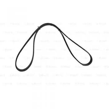 Bosch 1987948482 Poly Rib Belt