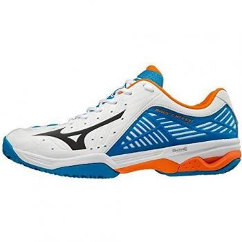 Mizuno Wave Exceed 2 CC, Zapatillas para Hombre, Multicolor