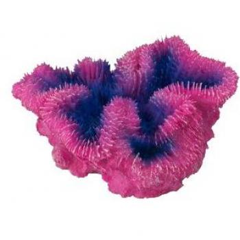 Decoración de Acuario Aqua Della Coral Symphylia