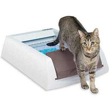 Arenero Autolimpiante Scoopfree Original para Gatos (70 x 49 x 16 cm)