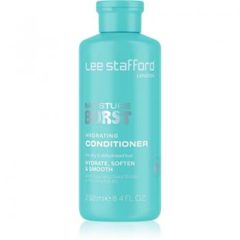 Acondicionador Regenerador Intenso Lee Stafford Hair Apology 250ml para Cabello Maltratado o Dañado
