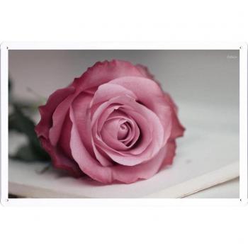 Metal cartel Cartel de chapa Hojalata sesión Flower Tin Sign #26913 Pink Rose Retro Vintage Pared Decoración by hamgaacaan