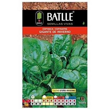 Semillas de Espinaca Gigante de Invierno, 100gr