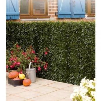 Intermas - Seto art.30var.greens.1.5x3 5031603
