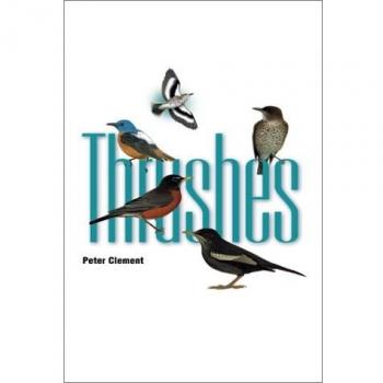 Thrushes