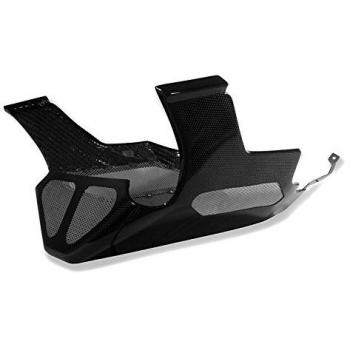 Quilla motor BMW R 1200 R 07-14 Carbono Ilmberger
