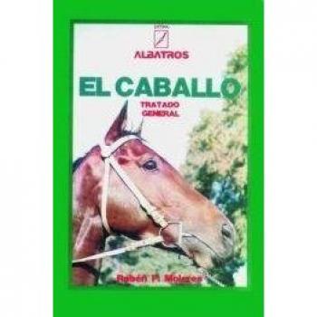El Caballo/The Horse