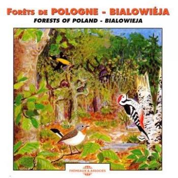 Forests Of Poland - Bialowieja