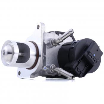 Válvula EGR BorgWarner Wahler 710327D/1