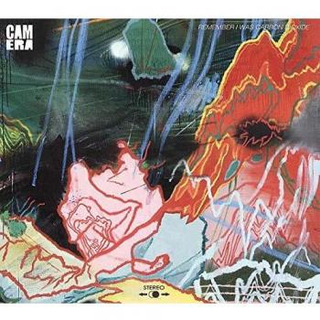 Remember I Was Carbon Dioxide VINYL