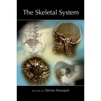 The Skeletal System: No. 53