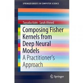 Composing Fisher Kernels from Deep Neural Models: A Practitioner's Approach