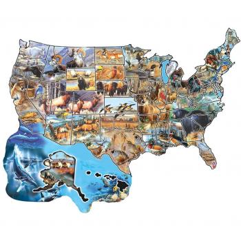 Puzzle contur SunsOut - Cynthie Fisher: América Salvaje, 600 piezas