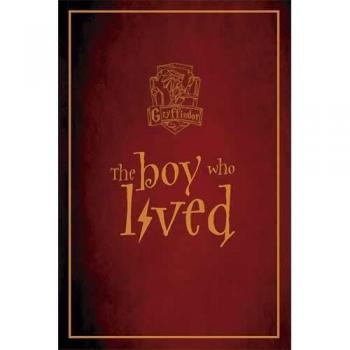 Harry Potter - Gryffindor