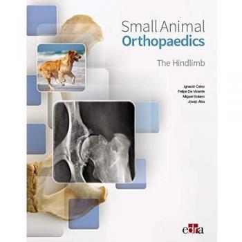 Small Animal Surgery. The Head And Neck. Vol. 2-Libros De Veterinaria- Editorial Edra