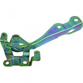 Wezel 3799433 Enmarcado Protector