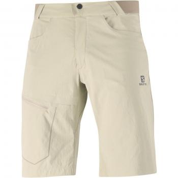 Salomon - Short de hombre Wayfarer