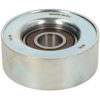 Tensor de correa poli V BTA E25019BTA