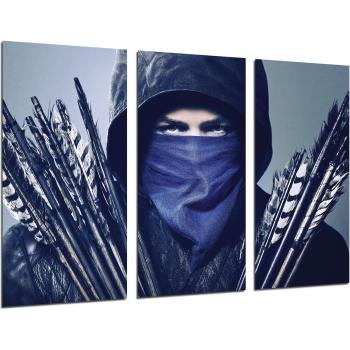 Set de 3 Cuadros Decorativos Robin Hood - Impresión Digital sobre Madera, Diseño Animado del Arquero