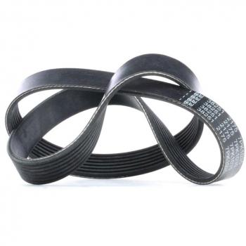 Correa trapecial poli V FEBI BILSTEIN 38251