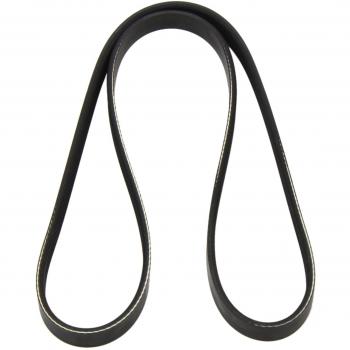 Correa trapecial poli V DAYCO 4PK1170 - Correa V-ribbed, longitud de 1170 mm, fabricada por DAYCO, diseñada para una transmisión eficiente de potencia en motores