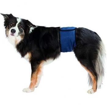 TRIXIE Banda Abdomen para Perros Macho