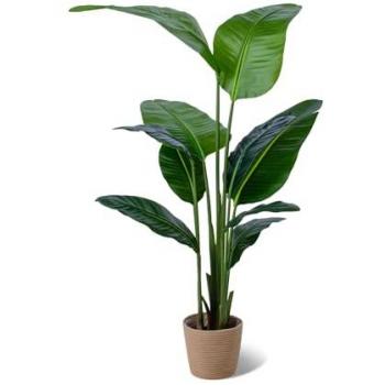 Planta Artificial Banana Viajera en Maceta H160 cm