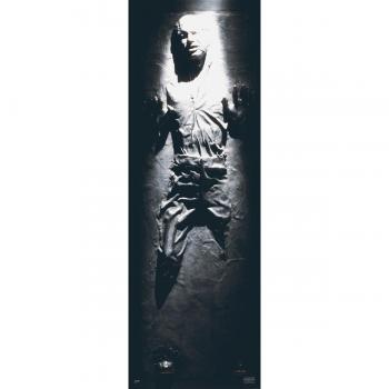 Star Wars Han Solo Carbonite Póster de puerta multicolor