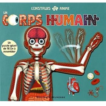 Crea y Anima un Cuerpo Humano - Juego Educativo Interactivo para Niños