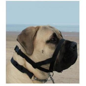 Bozal Antitirones para Perros Kumfi Dogalter XL