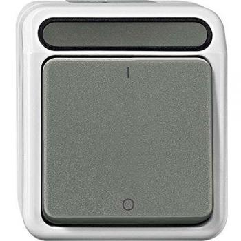 Interruptor Merten Aquastar 2 Polos Gris Luminescente MEG3112-8029