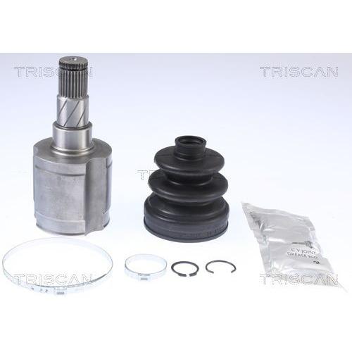 Imagen Principal