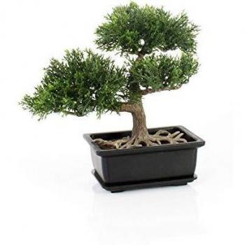 artplants.de Bonsái de Cedro Artificial en Maceta, 20cm - Bonsái Decorativo - Bonsai Artificial