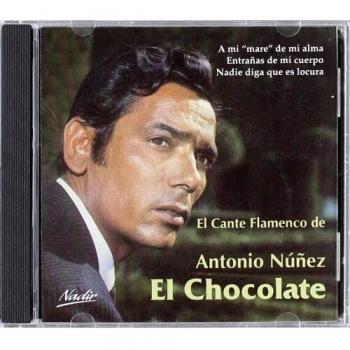 El Cante Flamenco