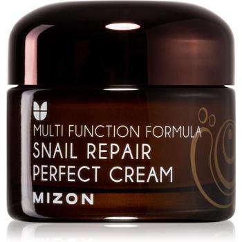 Mizon Multi Function Formula Snail Face Cream with Snail Secretion Filtrate 60% 50 ml