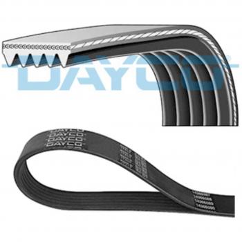 Correa trapecial poli V DAYCO 5PK855S, tipo de producto: correa acanalada en V, características: longitud 855 mm, 5 canales, fabricada en material resistente a la abrasión y al desgaste