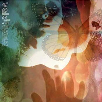 Electric Fur Shock Absorber: The Drake Equation