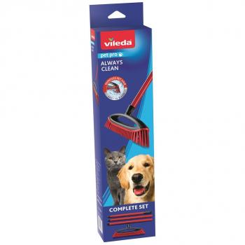 Set Cepillo de Goma Vileda 174001
