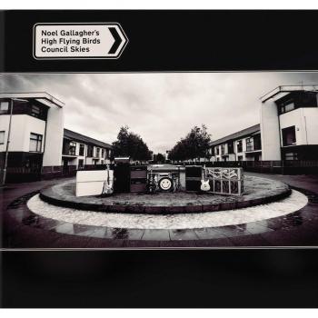 Council Skies (CD)